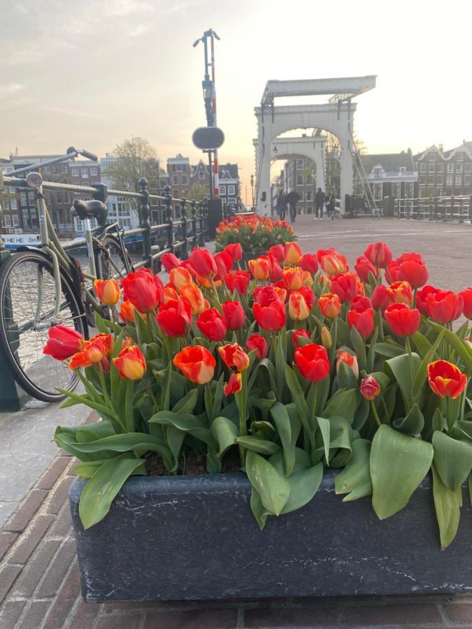 Amstel Boutique Studio Amsterdam Ngoại thất bức ảnh